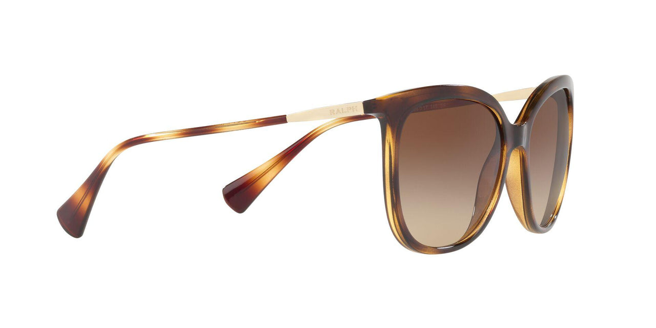500313 - Havana - Gradient Brown
