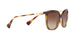 500313 - Havana - Gradient Brown