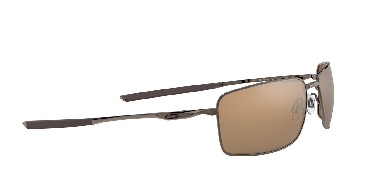 407506 - Gunmetal - Tungsten Iridium Polarized