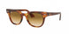 Ray-Ban Meteor 2168 Sunglasses