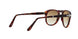 24/51 - Havana - Crystal Brown Gradient