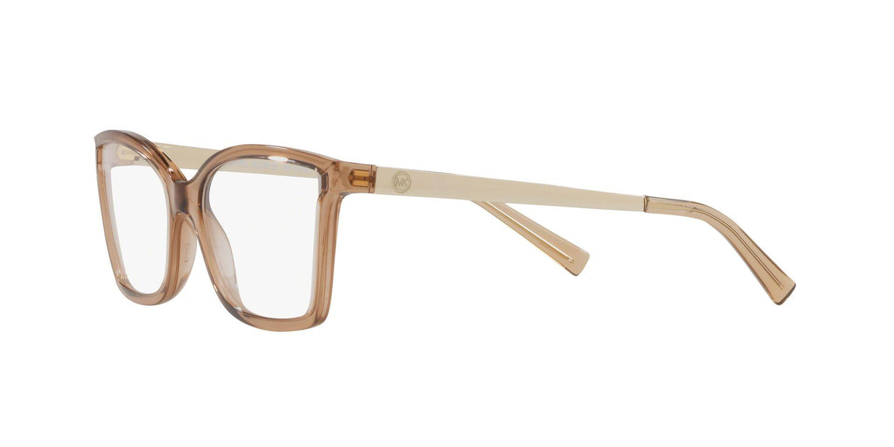 3501 - Dark Brown Transparent Injecte