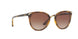 W65613 - Brown Gradient