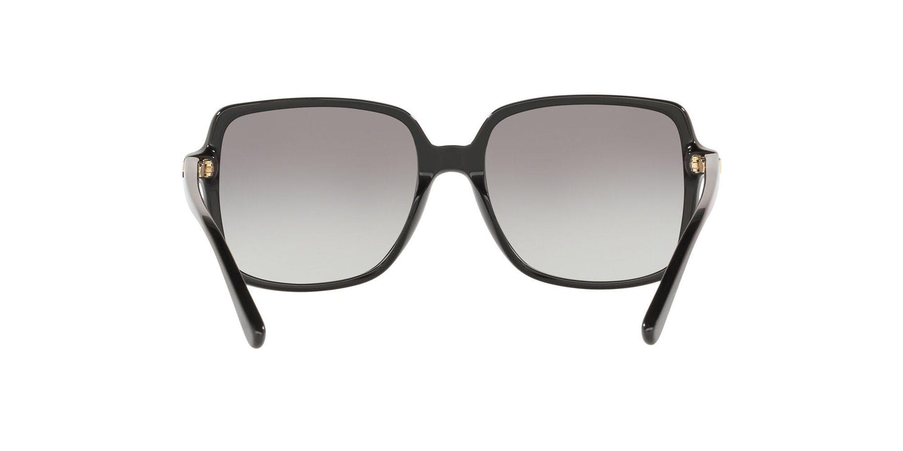 300511 - Black - Grey Gradient