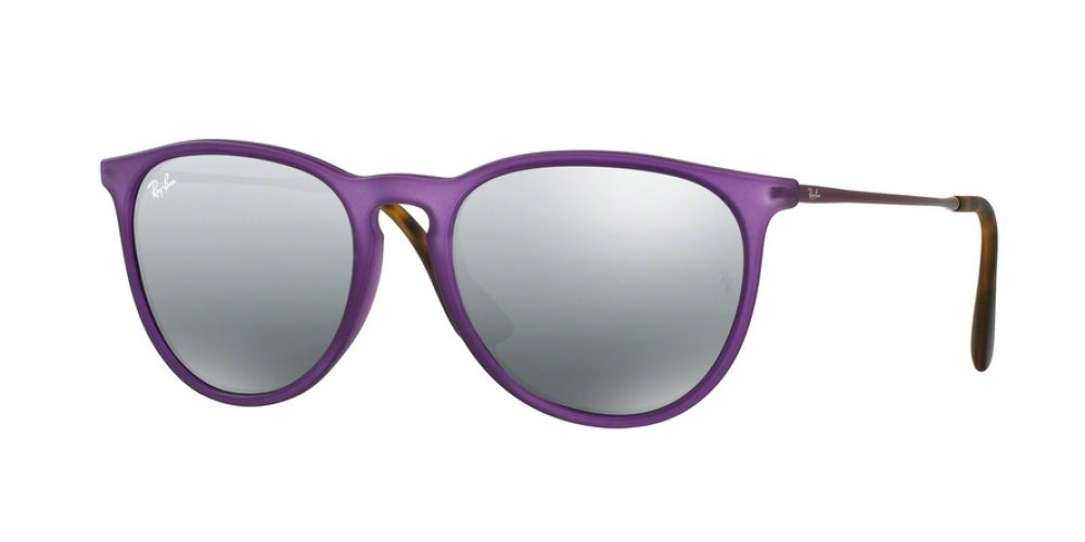 Ray-Ban Erika 4171 Sunglasses