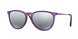 Ray-Ban Erika 4171 Sunglasses