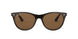 902/57 - Havana - Polar Brown