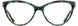1 - Teal Black Demi