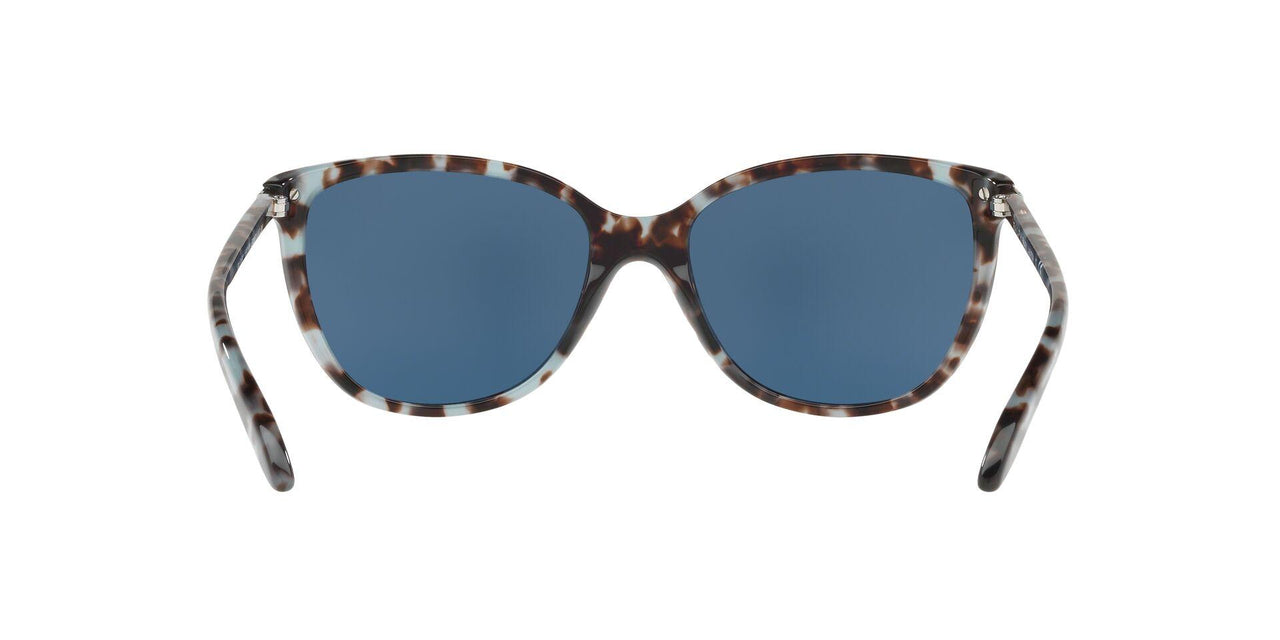 169280 - Blue Tortoise - Blue Solid