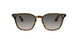 710/11 - Havana - Grey Gradient Dark Grey