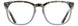 Alan J AJ154 Eyeglasses