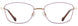 Alan J AJ522 Eyeglasses