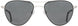 1 - Black Silver - True-Color Gray