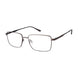 Aristar AR18662 Eyeglasses