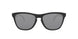 Oakley Frogskins 9013 Sunglasses