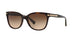 529113 - Havana - Dark Brown Gradient