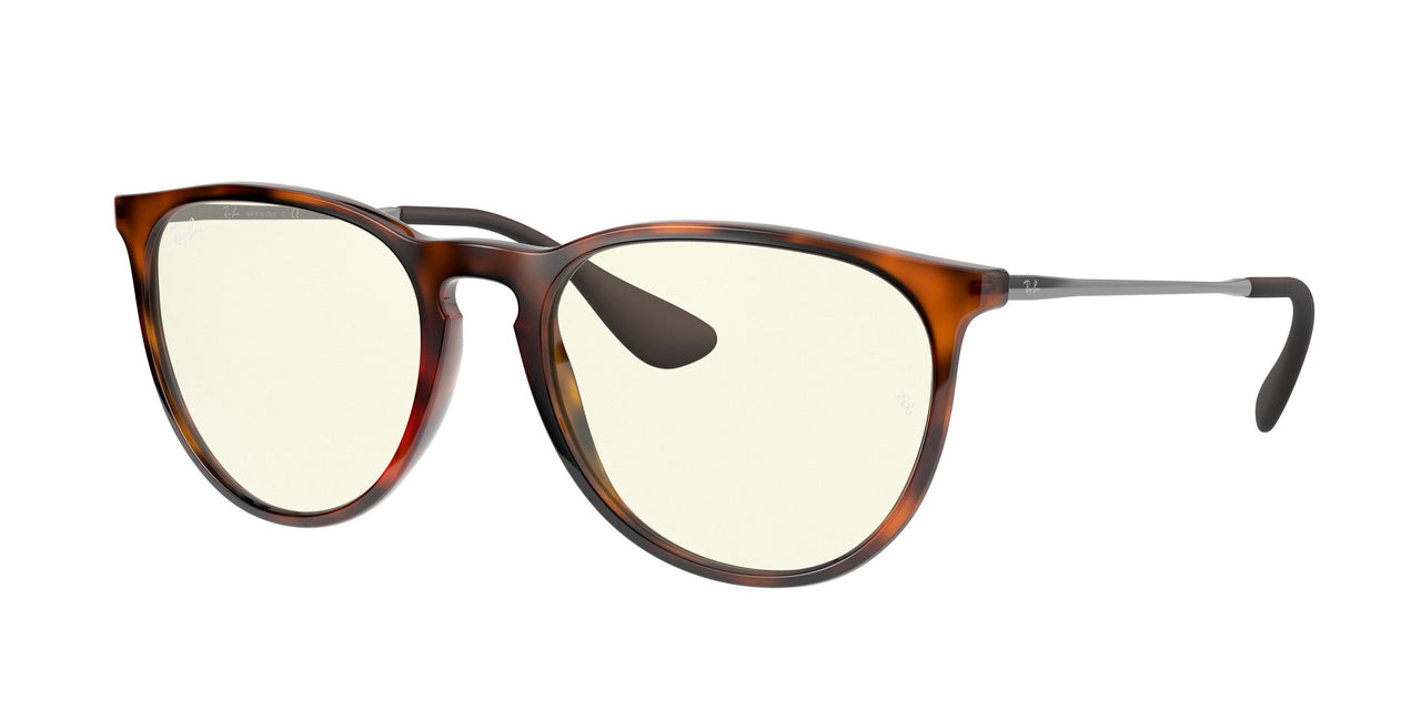 Ray-Ban Erika 4171 Sunglasses