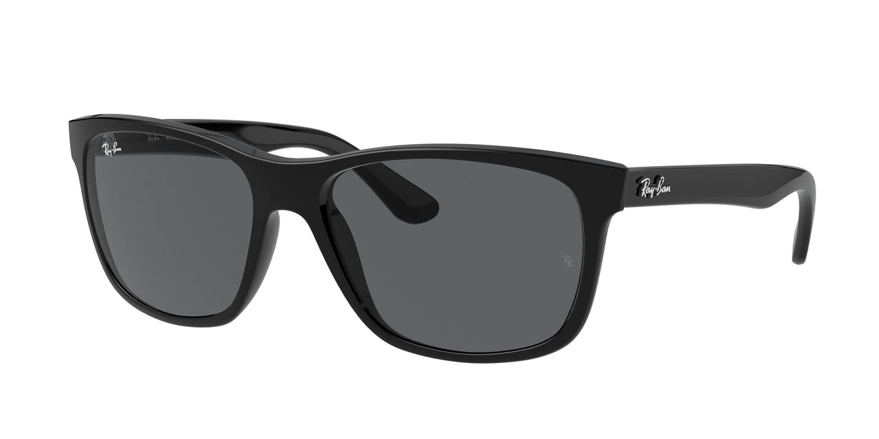 Ray-Ban Rb4181 4181 Sunglasses