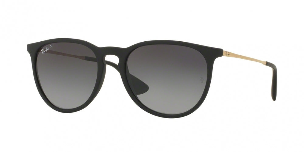Ray-Ban Erika 4171 Sunglasses
