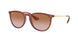 Ray-Ban Erika 4171 Sunglasses