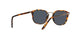 1081R5 - Brown - Blue