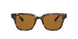 Ray-Ban 4323 Sunglasses
