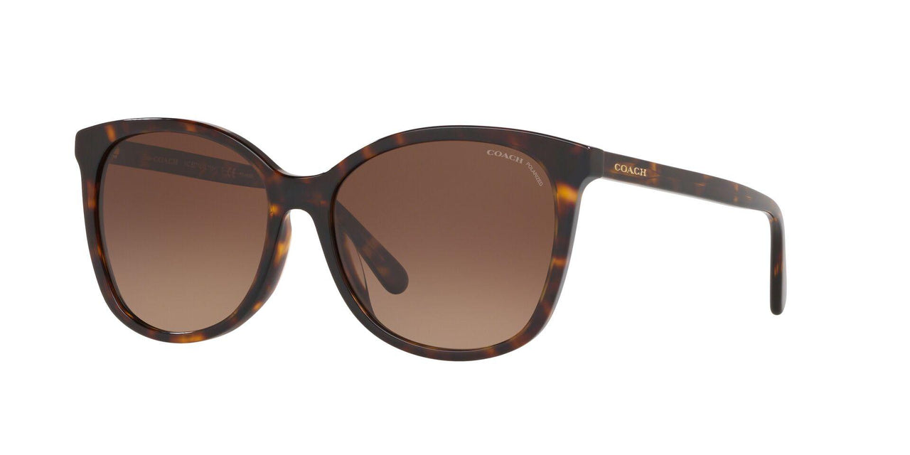 5120T5 - Havana - Dark Brown Gradient Polar