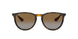 710/T5 - Havana - Polar Brown Gardient