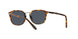 1081R5 - Brown - Blue