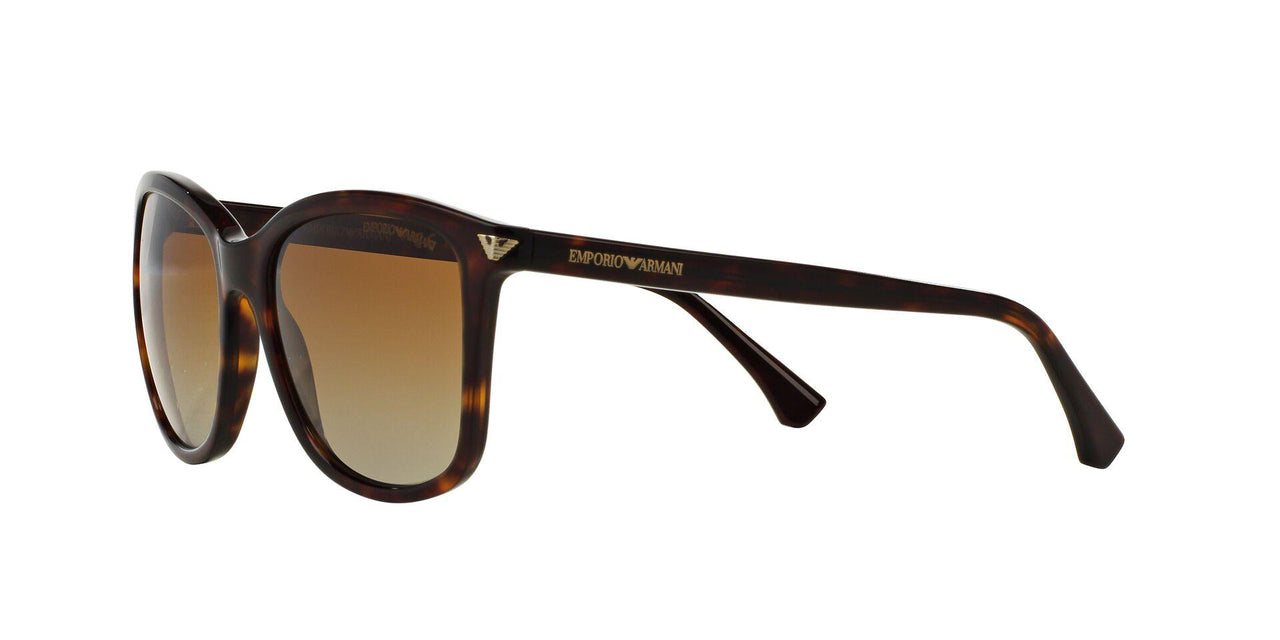 5026T5 - Havana - Polar Brown Gradient