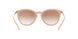 335013 - Light Brown Gradient