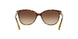 300213 - Havana - Brown Gradient