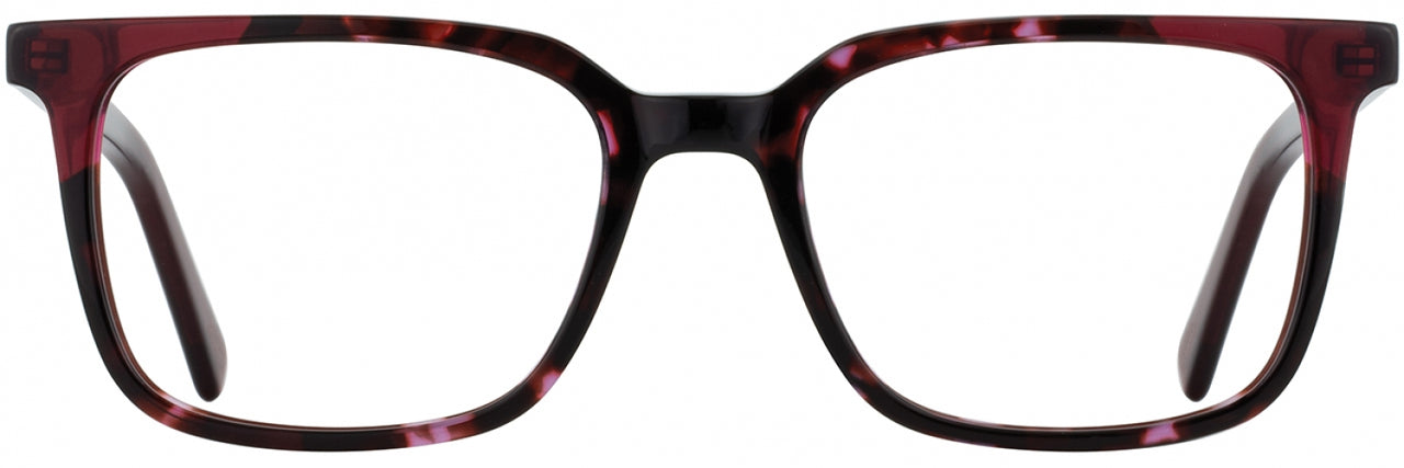3 - Cherry Tortoise