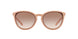 335013 - Light Brown Gradient