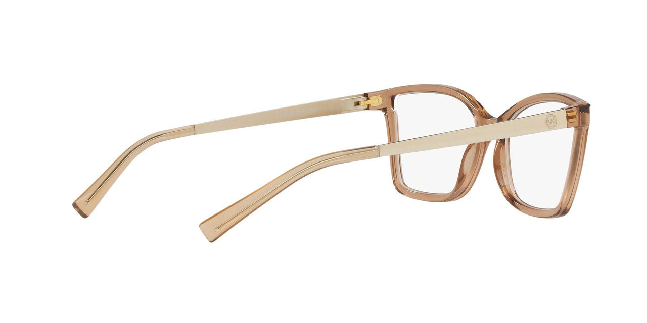3501 - Dark Brown Transparent Injecte