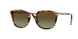 Persol 3186S Sunglasses