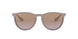 600068 - Brown - Brown Gradient