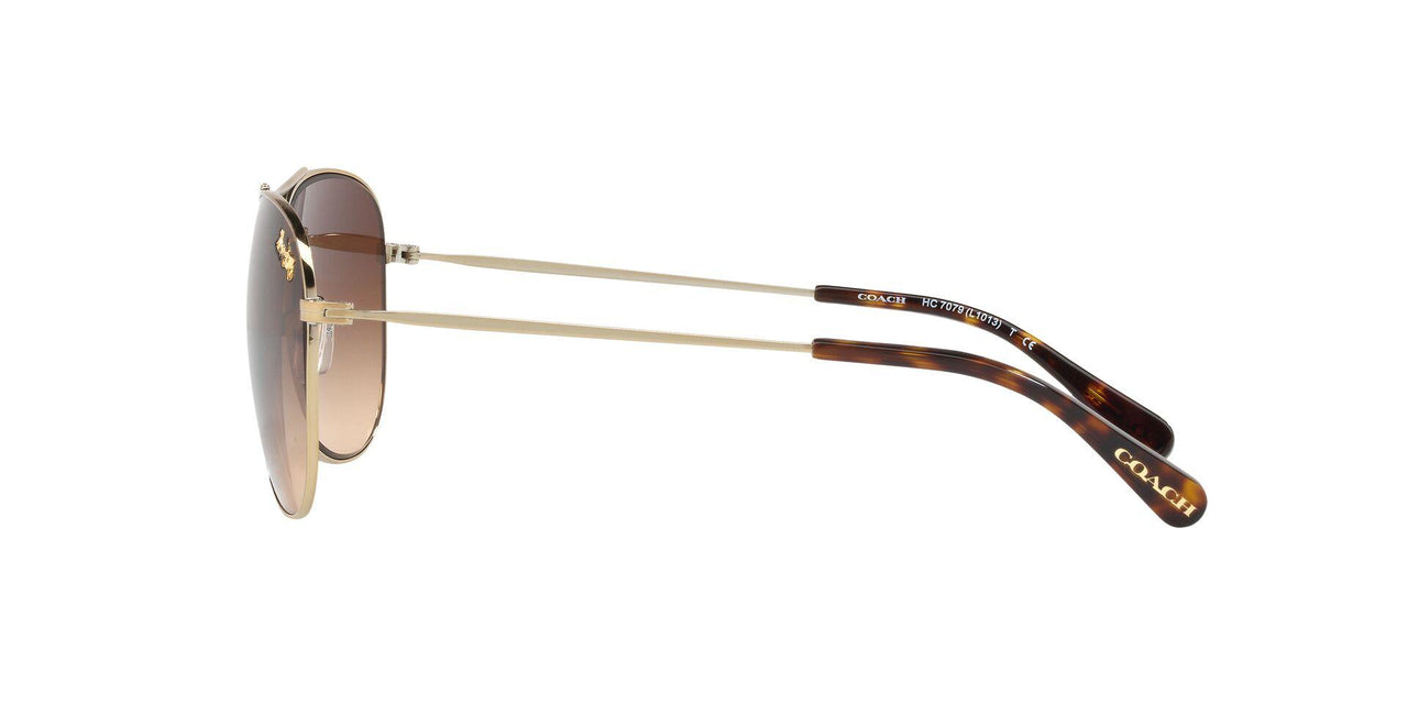 932213 - Light Gold - Brown Gradient