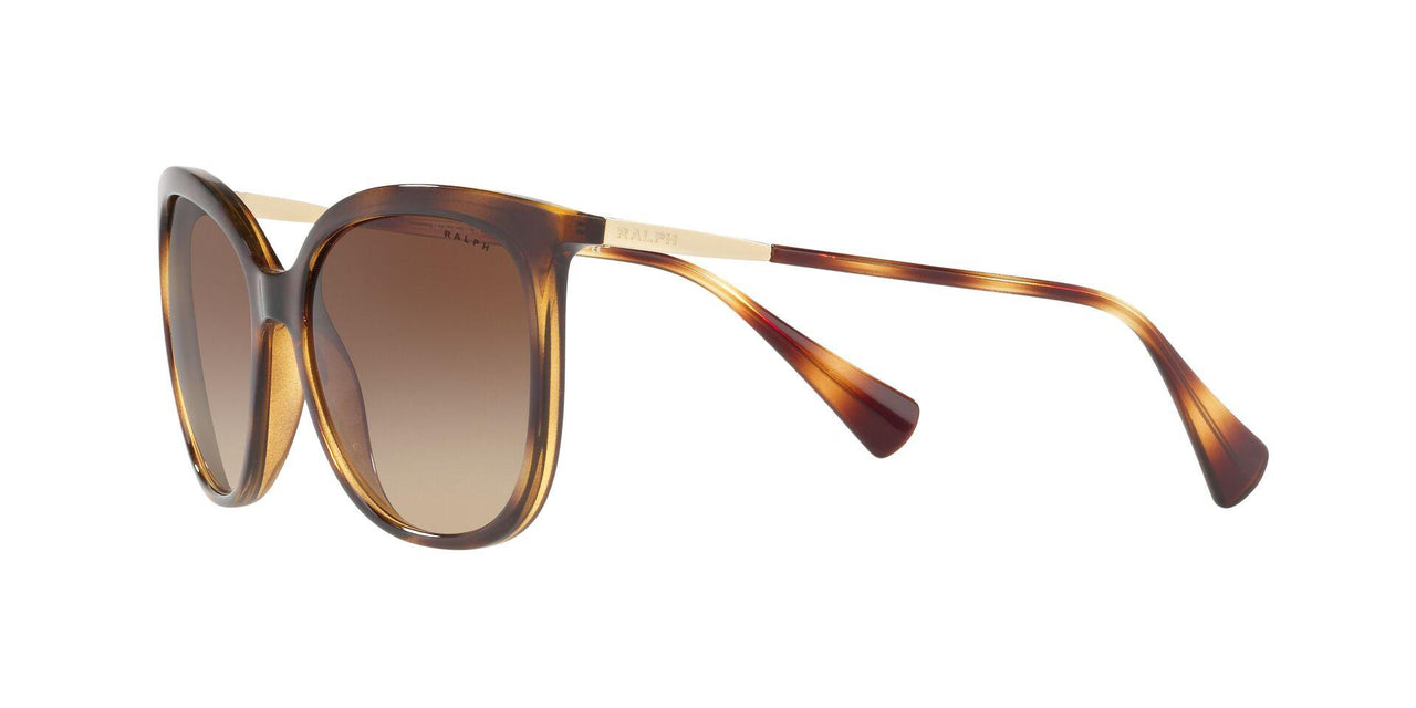 500313 - Havana - Gradient Brown