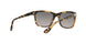 1056M3 - Havana - Grey Gradient Dark Grey Polar