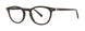 Seraphin DANBURY Eyeglasses