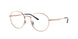 Ray-Ban 3681V Eyeglasses