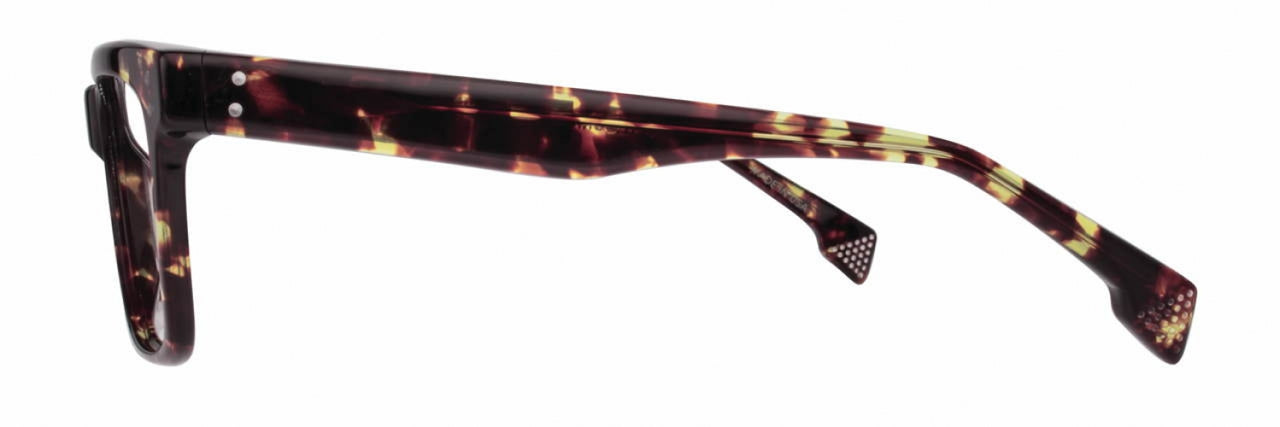 1 - Amber Tortoise