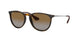710/T5 - Havana - Polar Brown Gardient