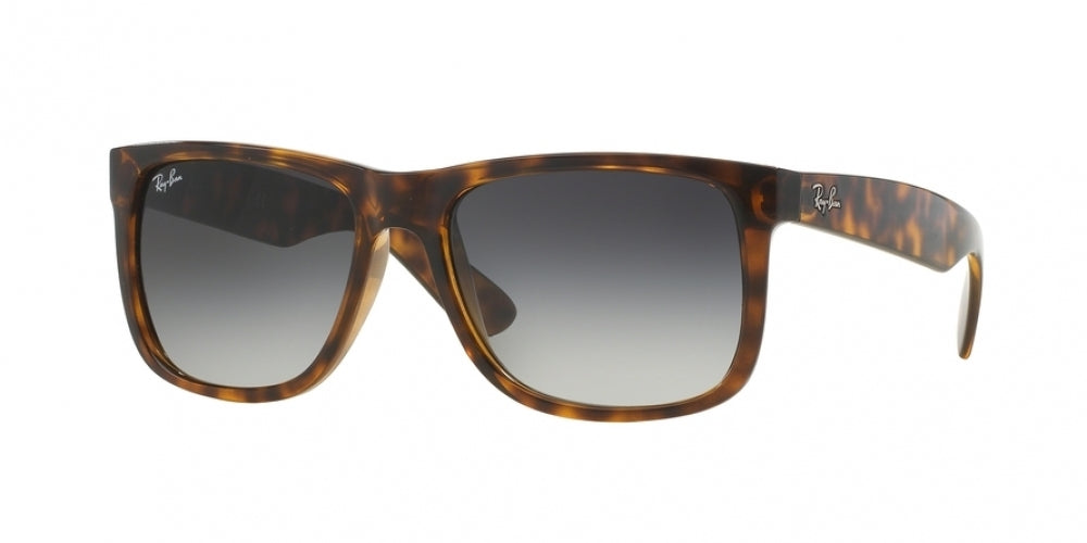Ray-Ban Justin 4165 Sunglasses