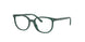 Ray-Ban Kids Elliot 0RY9097V Eyeglasses