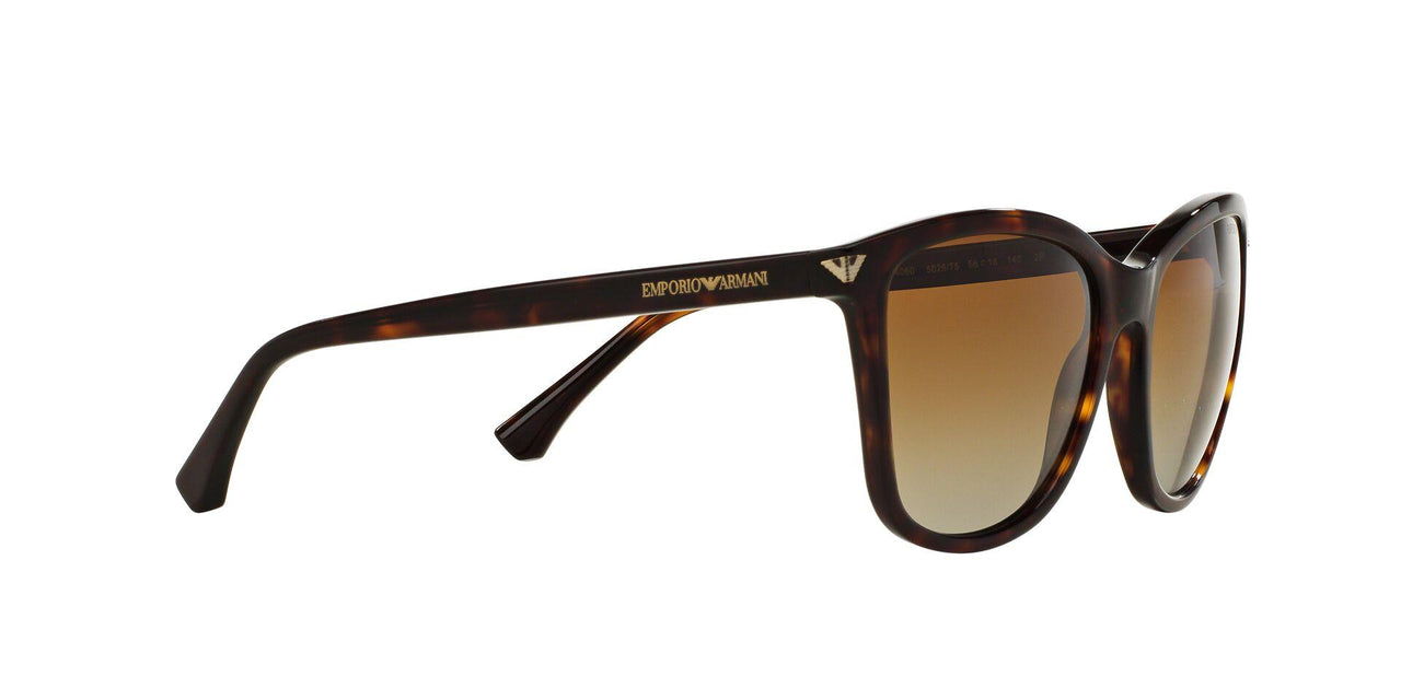5026T5 - Havana - Polar Brown Gradient