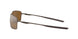 407506 - Gunmetal - Tungsten Iridium Polarized