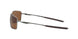 407514 - Brown - Prizm Tungsten Polarized