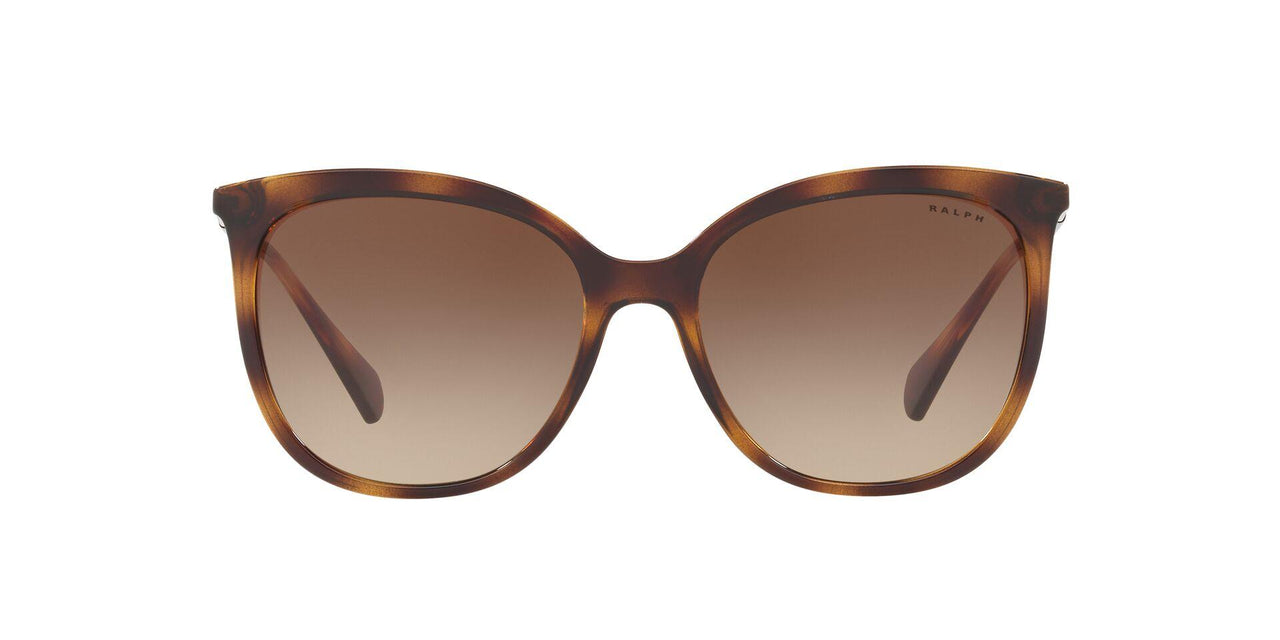 500313 - Havana - Gradient Brown